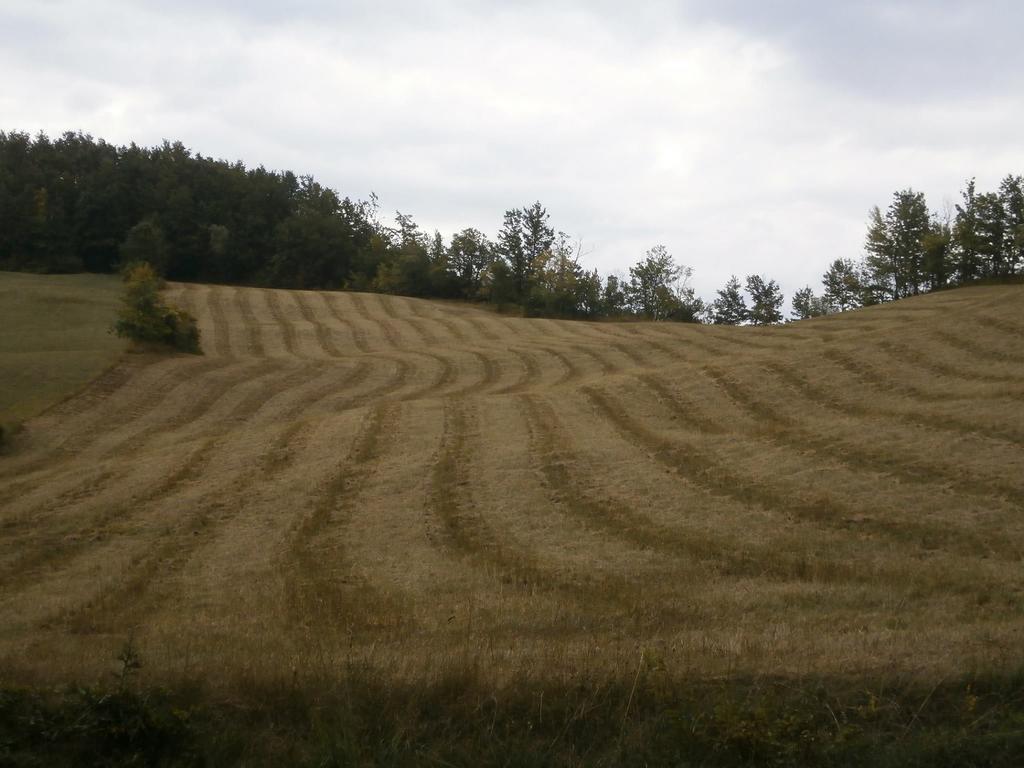 Societa Agricola Cacigolara Villa Borgo Val di Taro Buitenkant foto