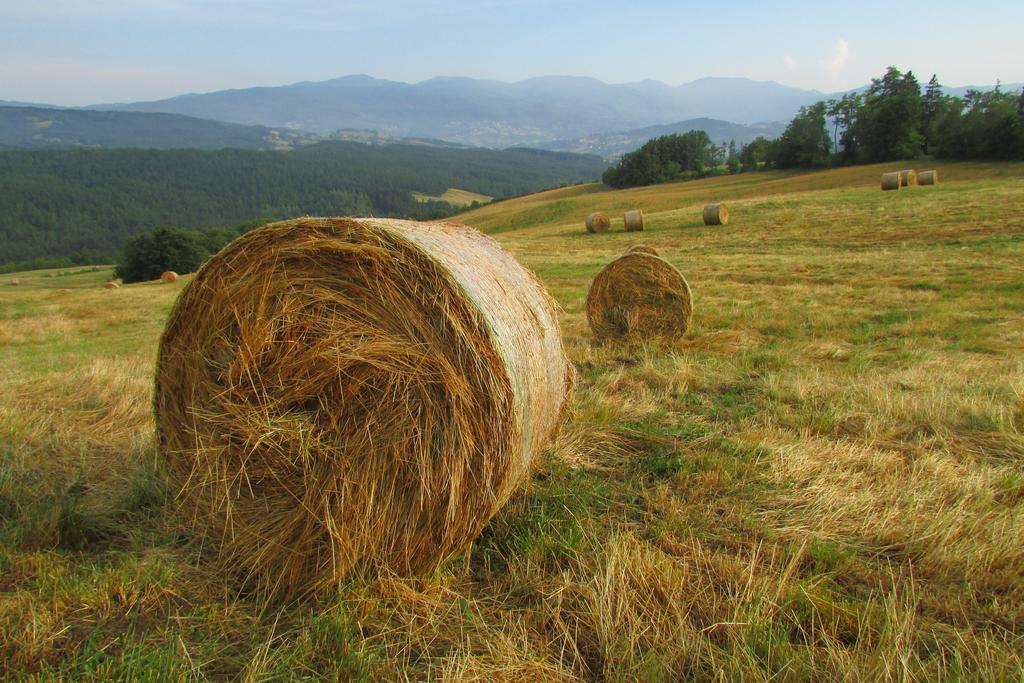 Societa Agricola Cacigolara Villa Borgo Val di Taro Buitenkant foto