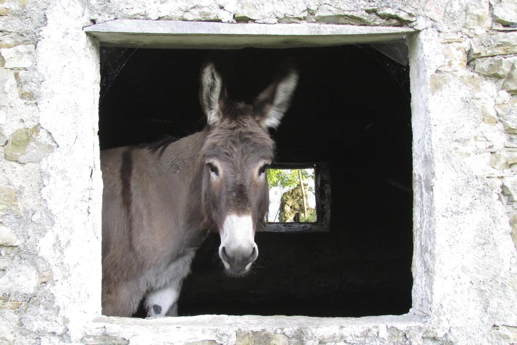 Societa Agricola Cacigolara Villa Borgo Val di Taro Buitenkant foto
