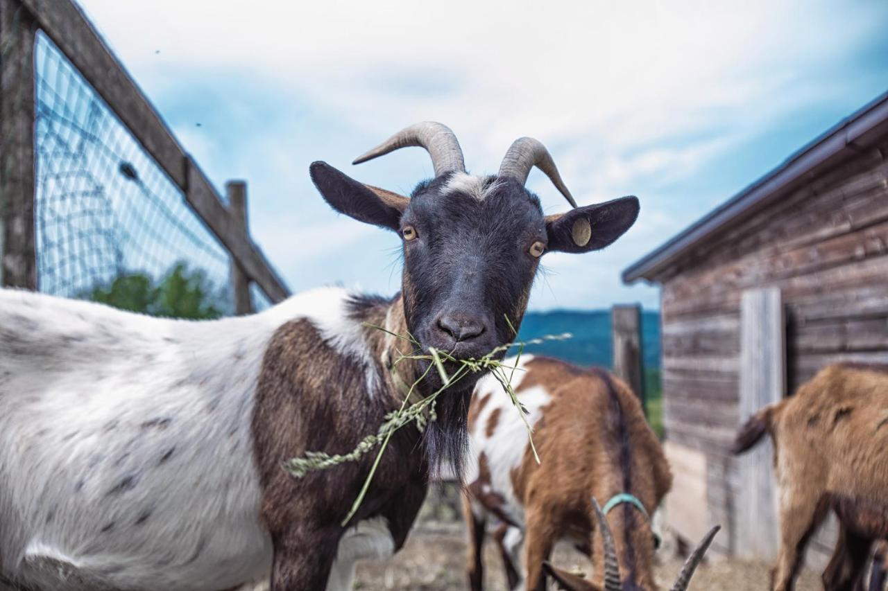 Societa Agricola Cacigolara Villa Borgo Val di Taro Buitenkant foto